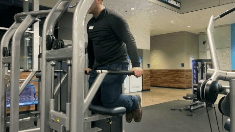 chest dips