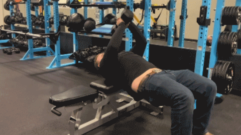 dumbbell pullover