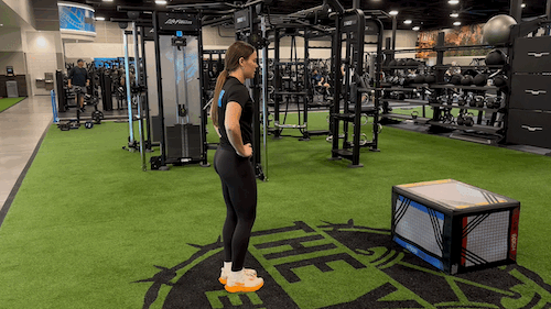 reverse lunge